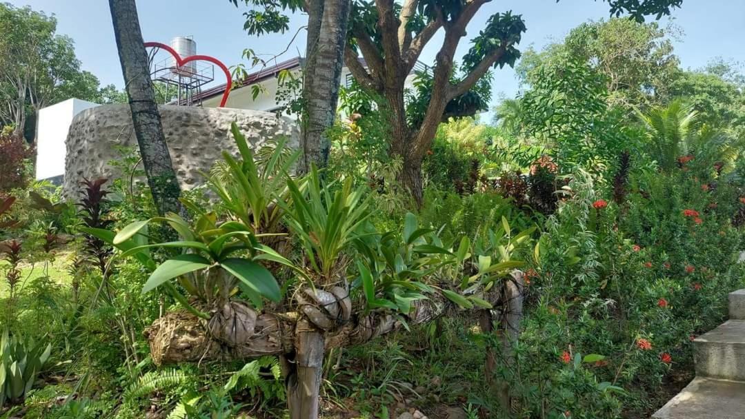 Matteo'S Hus Villa Rental Zamboanguita  Экстерьер фото